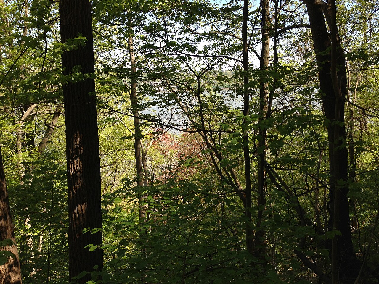 Palisades Interstate Park — venue photograph