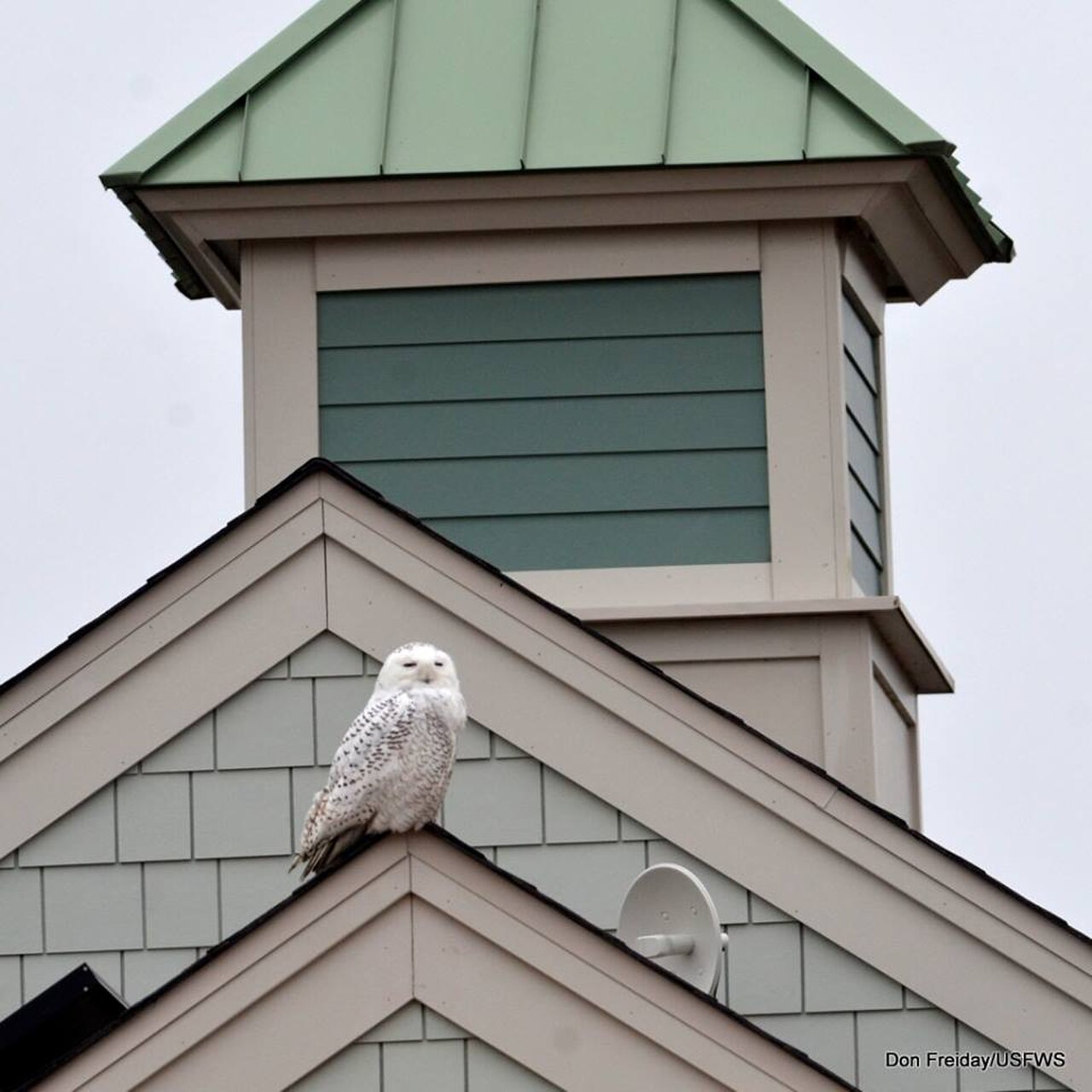 Edwin B. Forsythe National Wildlife Refuge — venue photograph